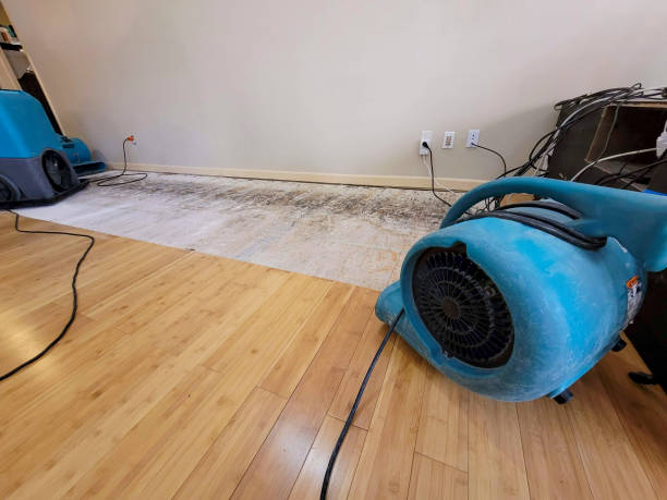 Professional Structural Drying technician working in Salina, KS